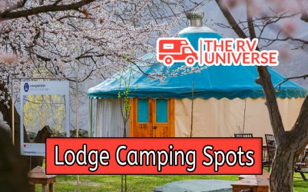 Top 10 Lodge Camping Spots Near You